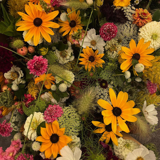 Eating With the Seasons With Hardwick’s Farms